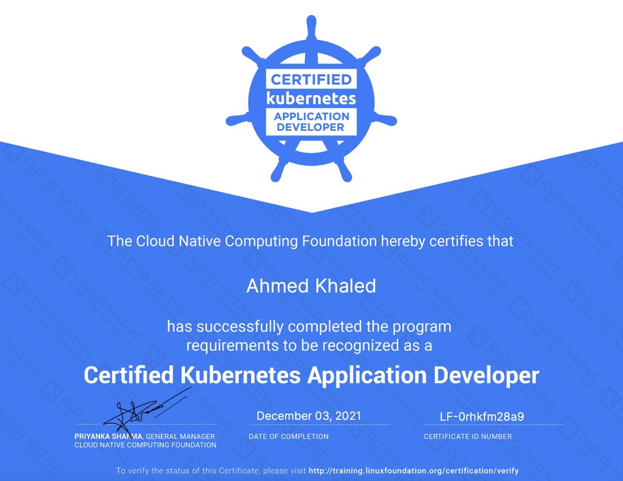 Kubernetes Application Developer (CKAD)
